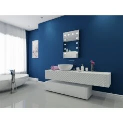 Paris Mirror 24-in X 36-in 6000K 24V LED Lighting Mirror