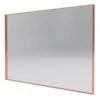 Reln 48-in Rose Gold Rectangular Bathroom Mirror -Allied Brass Sales Store 330989733 MainImage 001 l