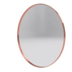 Reln 32-in Rose Gold Round Bathroom Mirror
