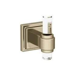 Amerock Glacio 1-hook Clear/golden Champagne Towel Hook