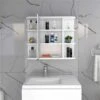 FM Furniture Valdez 23.6-in X 19.7-in White Mirrored Rectangle Medicine Cabinet