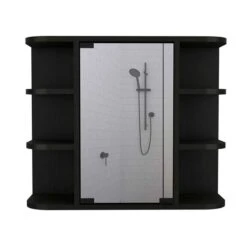 FM Furniture Valdez 23.6-in X 19.7-in Black Mirrored Rectangle Medicine Cabinet -Allied Brass Sales Store 331040245 MainImage 001 l