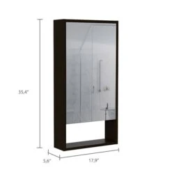 FM Furniture Modesto 17.9-in X 35.4-in Black Mirrored Rectangle Medicine Cabinet