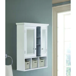 Allen + Roth Rectangle Surface Medicine Cabinet With Mirror White 24.75-in X 30.25-in